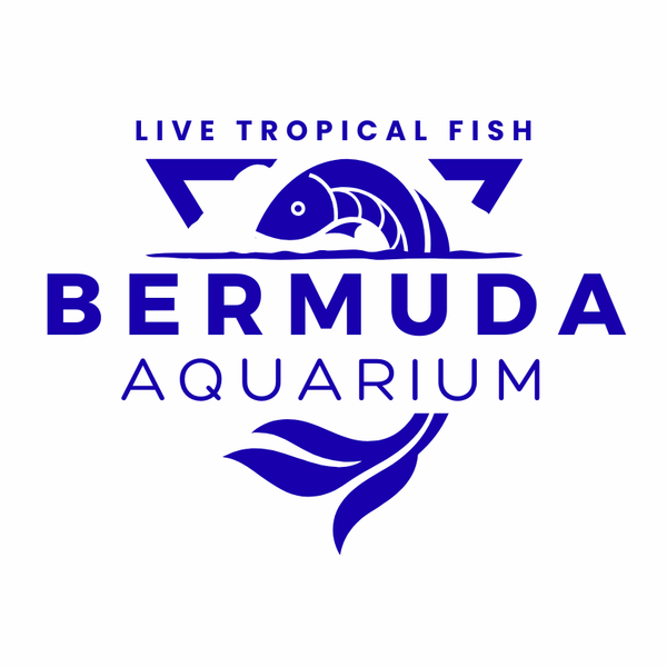 Bermuda Aquarium